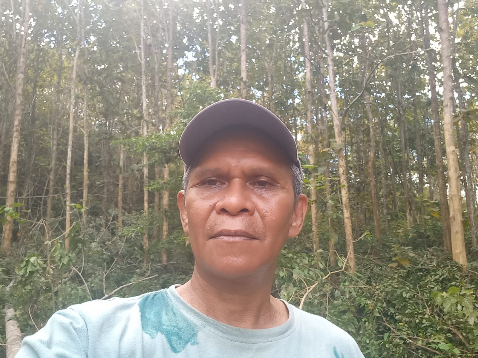 foto hutan jati