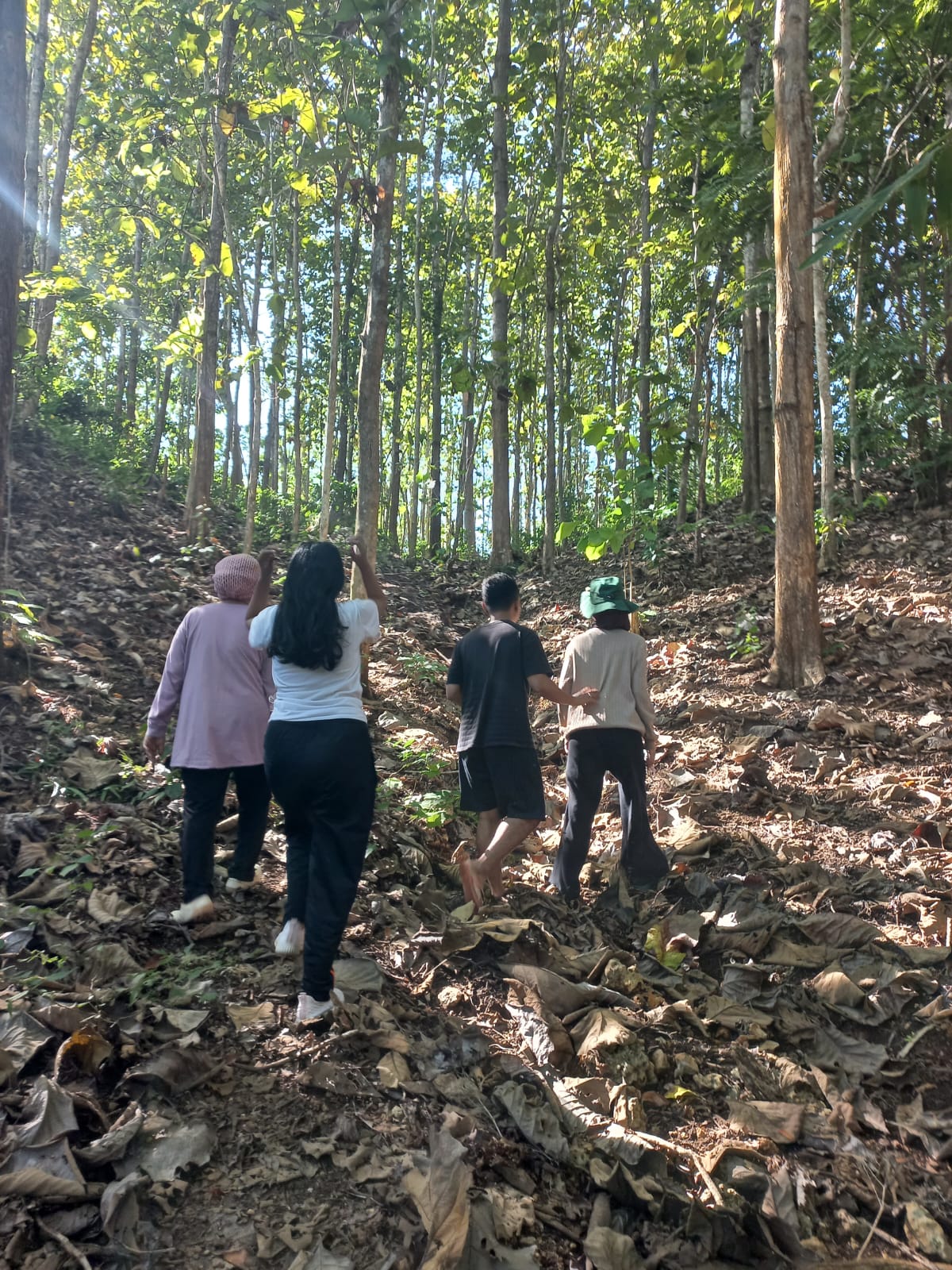 petualang 1