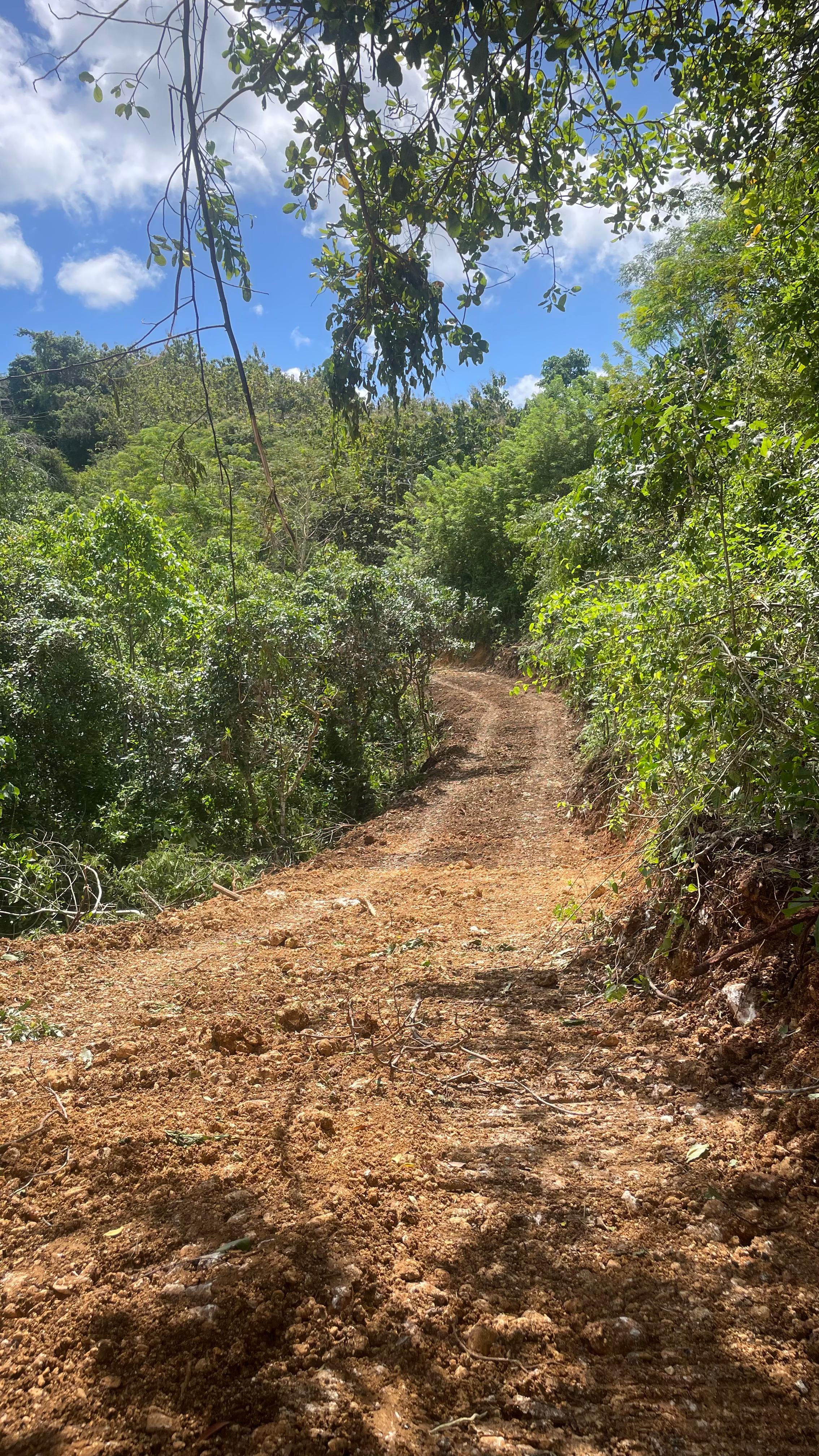 foto jalan 1